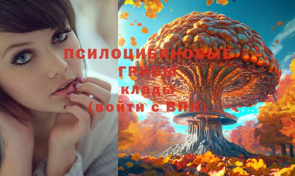 прущие грибы Богородск