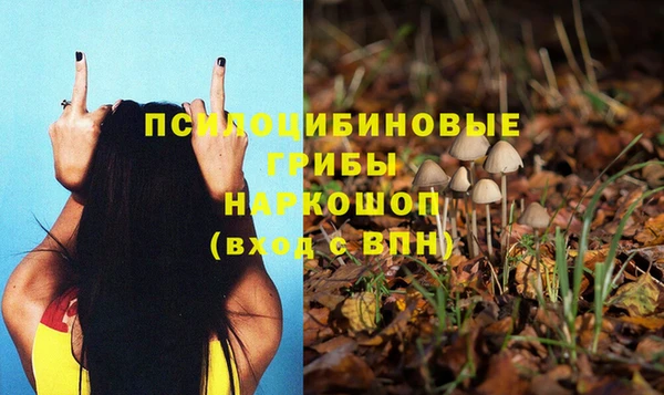 марки nbome Богородицк