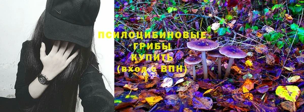 не бодяженный Богданович