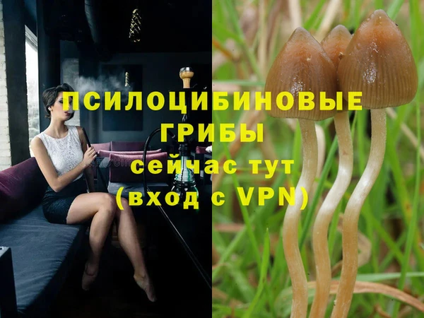 марки nbome Богородицк