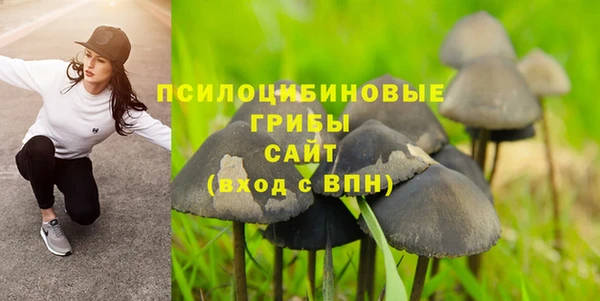 прущие грибы Богородск