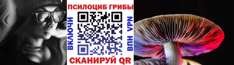 Псилоцибиновые грибы Psilocybe  Купить закладки  Мелеуз 